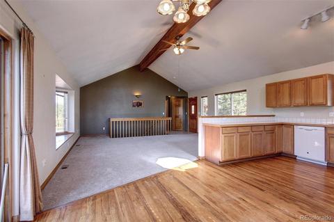 182 Spruce Trl, Bailey, CO 80421 photo 15