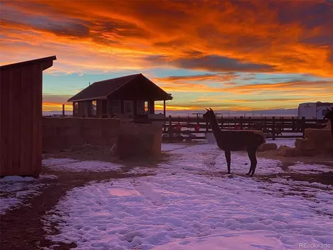 27028 Garo Park Dr, Blanca, CO 81123
