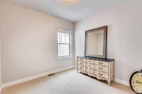10030 E 59th Dr, Denver, CO 80238 photo 19