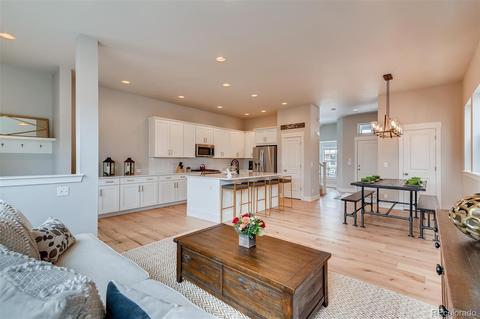 10030 E 59th Dr, Denver, CO 80238 photo 5