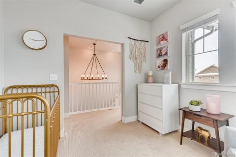 10030 E 59th Dr, Denver, CO 80238 photo 17