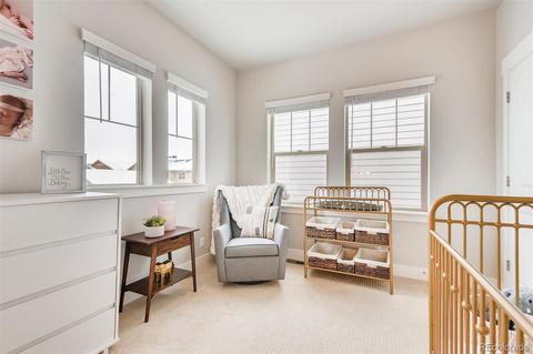 10030 E 59th Dr, Denver, CO 80238 photo 16