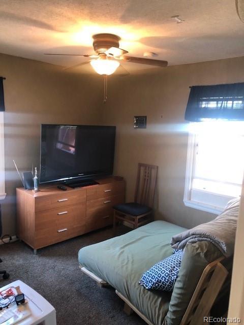 4875 Quivas St, Denver, CO 80221 photo 10