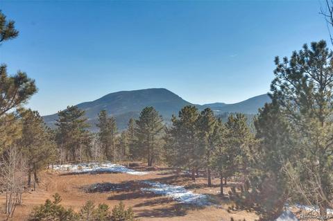 510 Royal Dr, Bailey, CO 80421 photo 31