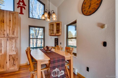 510 Royal Dr, Bailey, CO 80421 photo 7