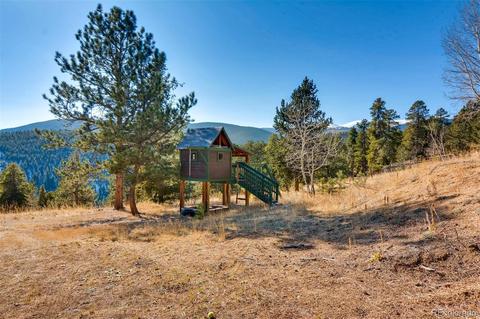 510 Royal Dr, Bailey, CO 80421 photo 28