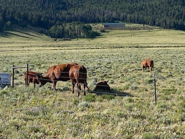 Eagle's Gate Road, Westcliffe, CO 81252