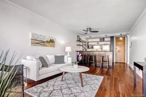 1050 N Corona St #308, Denver, CO 80218