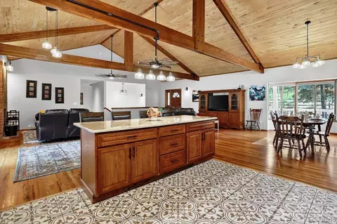 Other - 1539 Bluebird Dr, Bailey, CO 80421 photo 7 of 15