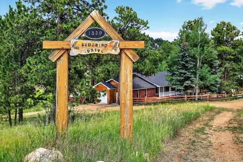 Other - 1539 Bluebird Dr, Bailey, CO 80421 photo 5 of 15