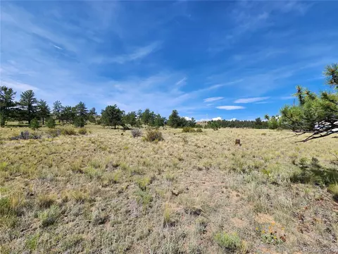 Trout Street, Hartsel, CO 80449