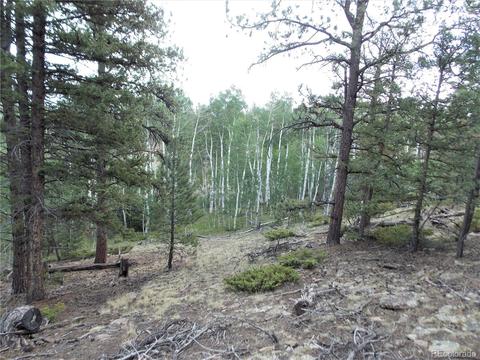 660 Windmill Dr, Hartsel, CO 80449 photo 5