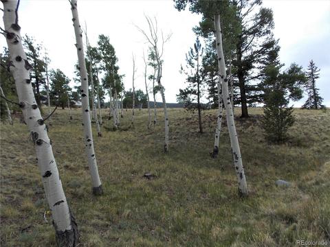 660 Windmill Dr, Hartsel, CO 80449 photo 10