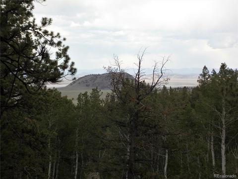 660 Windmill Dr, Hartsel, CO 80449 photo 3