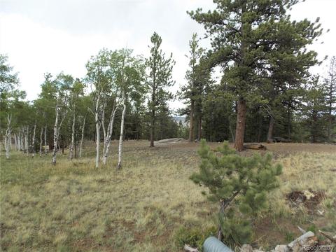 660 Windmill Dr, Hartsel, CO 80449 photo 6