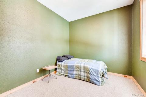 323 Ward St, Bailey, CO 80421 photo 21