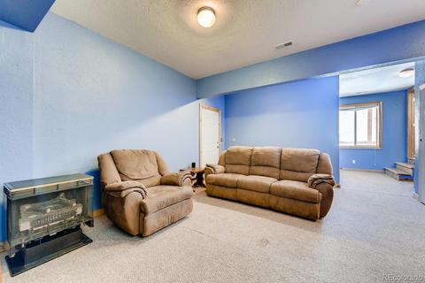 323 Ward St, Bailey, CO 80421 photo 20