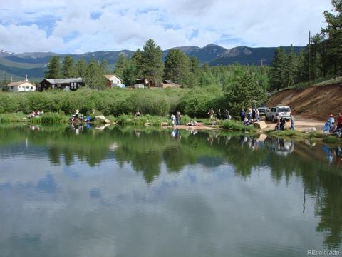 323 Ward St, Bailey, CO 80421 photo 30