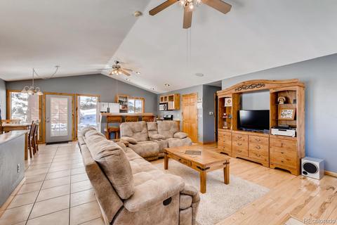323 Ward St, Bailey, CO 80421 photo 3