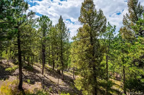 33623 Freda Rd, Pine, CO 80470 photo 19