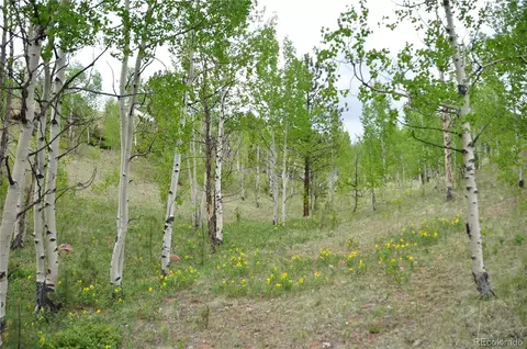 5942 County Road 1, Florissant, CO 80816