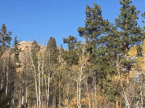 711 Crooked Rock Path, Como, CO 80432 photo 14