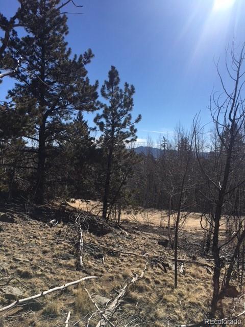 711 Crooked Rock Path, Como, CO 80432 photo 21