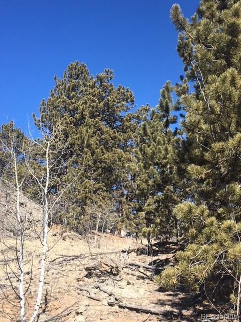 711 Crooked Rock Path, Como, CO 80432 photo 20