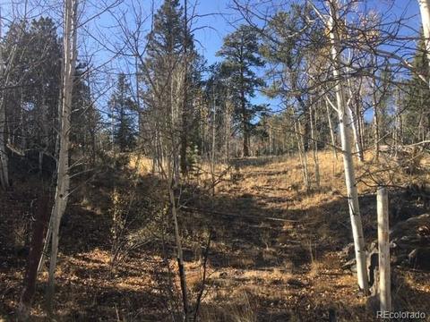 711 Crooked Rock Path, Como, CO 80432 photo 15