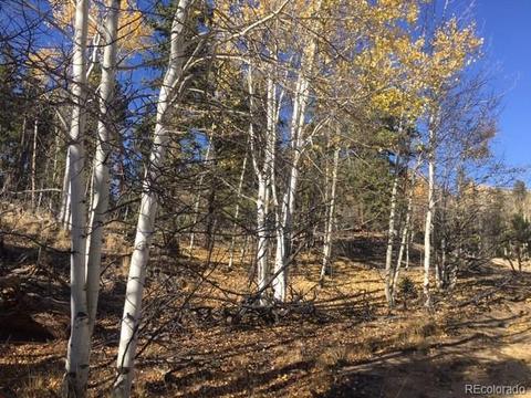 711 Crooked Rock Path, Como, CO 80432 photo 1