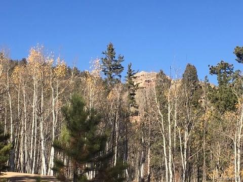 711 Crooked Rock Path, Como, CO 80432 photo 5
