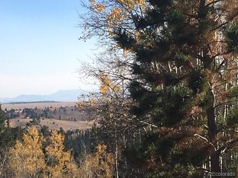 711 Crooked Rock Path, Como, CO 80432 photo 8