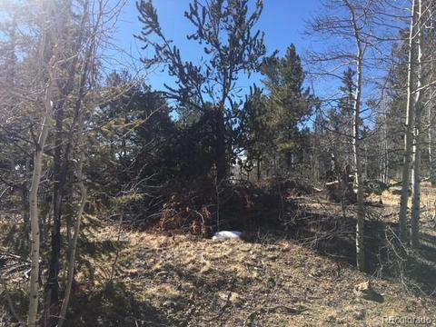 711 Crooked Rock Path, Como, CO 80432 photo 13