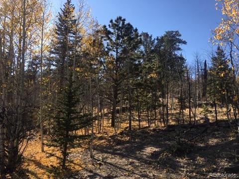711 Crooked Rock Path, Como, CO 80432 photo 11