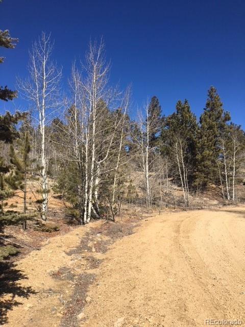 711 Crooked Rock Path, Como, CO 80432 photo 22