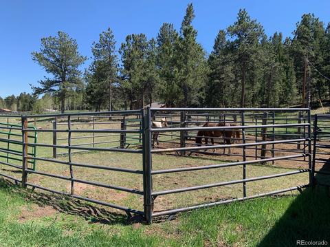 2917 Nova Rd, Pine, CO 80470 photo 38