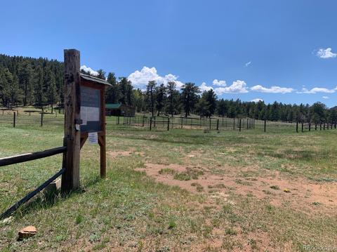 2917 Nova Rd, Pine, CO 80470 photo 37