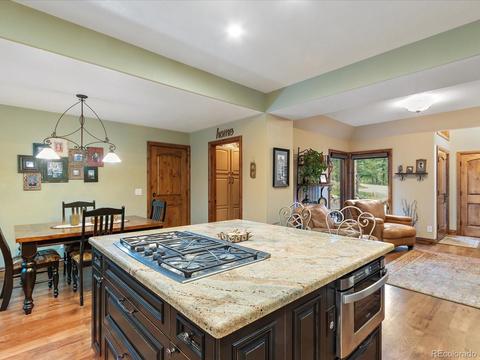 2917 Nova Rd, Pine, CO 80470 photo 6