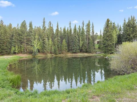 2917 Nova Rd, Pine, CO 80470 photo 25