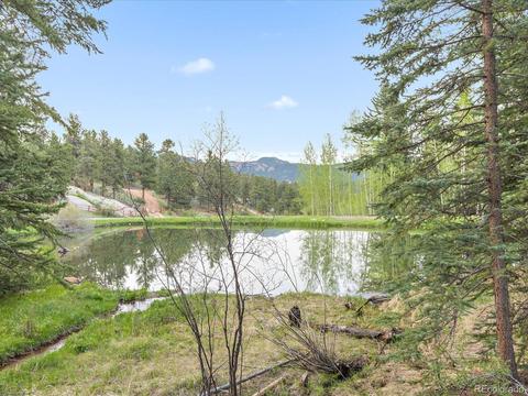 2917 Nova Rd, Pine, CO 80470 photo 26
