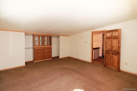 1135 Vigilante Ave, Bailey, CO 80421 photo 26