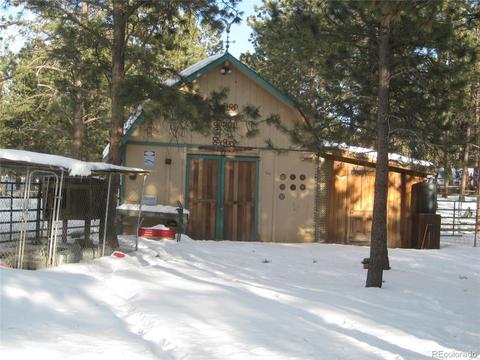 1135 Vigilante Ave, Bailey, CO 80421 photo 4