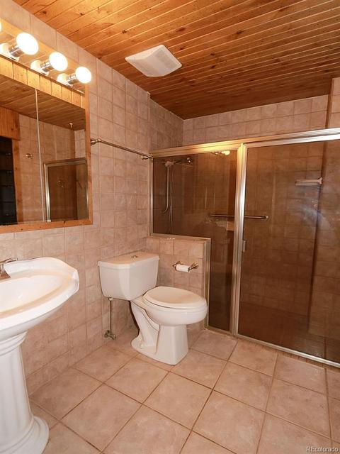 1135 Vigilante Ave, Bailey, CO 80421 photo 19