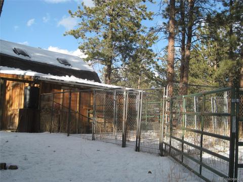 1135 Vigilante Ave, Bailey, CO 80421 photo 5