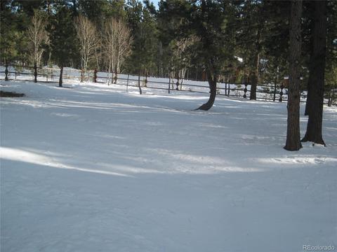 1135 Vigilante Ave, Bailey, CO 80421 photo 6