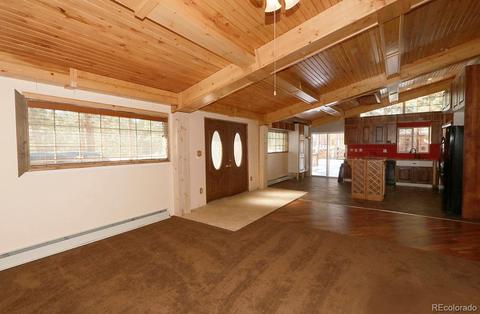 1135 Vigilante Ave, Bailey, CO 80421 photo 9