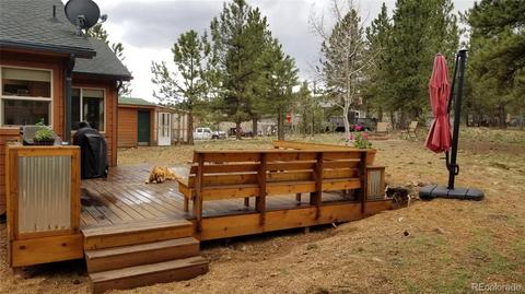 360 Bristlecone Cir, Bailey, CO 80421 photo 4