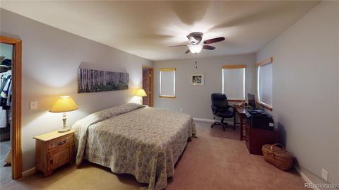360 Bristlecone Cir, Bailey, CO 80421 photo 14