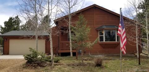 360 Bristlecone Cir, Bailey, CO 80421 photo 1