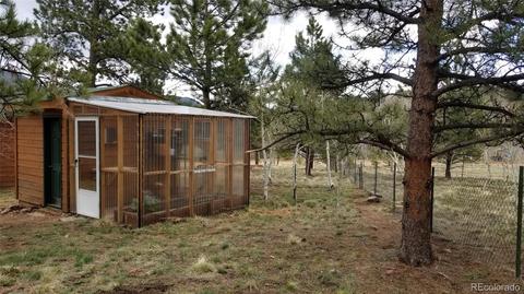 360 Bristlecone Cir, Bailey, CO 80421 photo 7